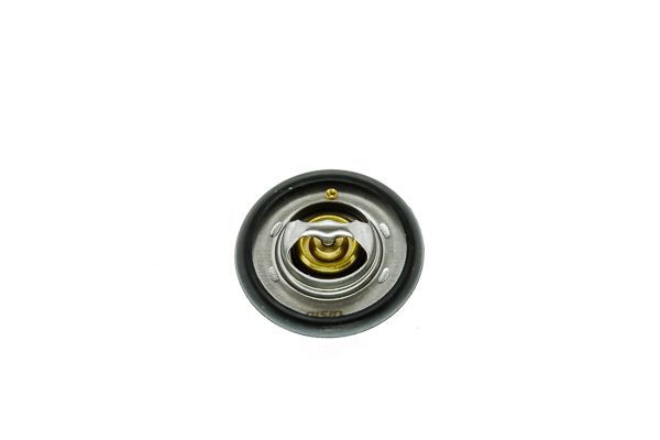 TERMOSTAT (89°) R9 R11 R21 CONCORDE CLIO I