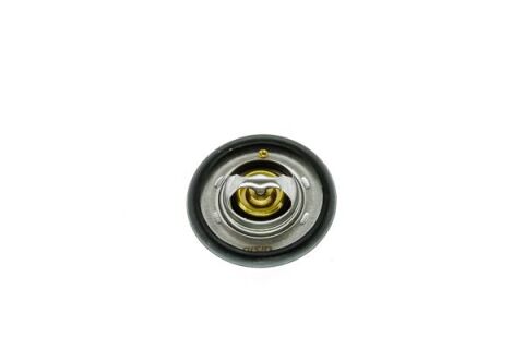 TERMOSTAT (89°) R9 R11 R21 CONCORDE CLIO I